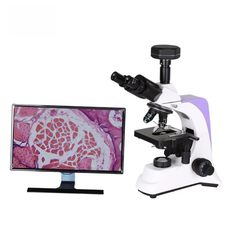 2026 Medizinisches Labor-Digit – Medical Lab Scientist Bewertung und Preis